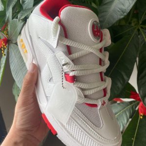 Louis Vuitton shoes