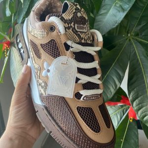 Louis Vuitton shoes
