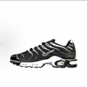 Air VaporMax Plus TN